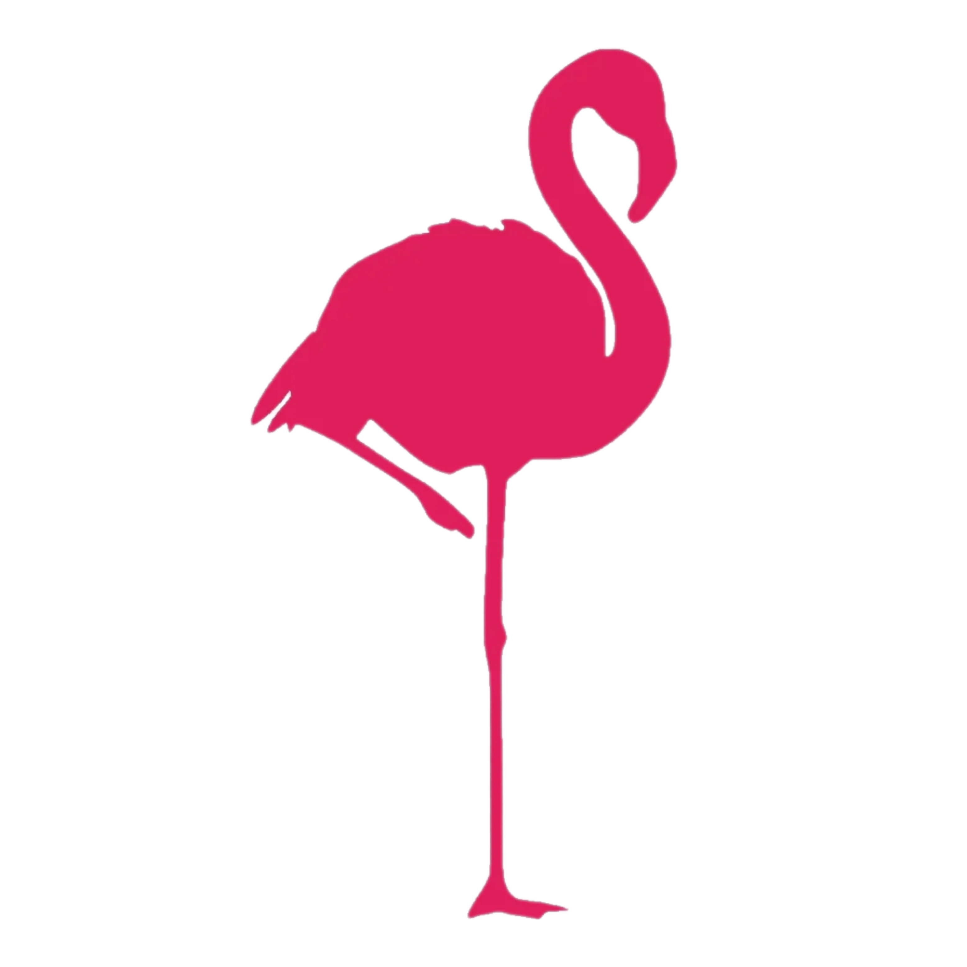 :flamingo_1: