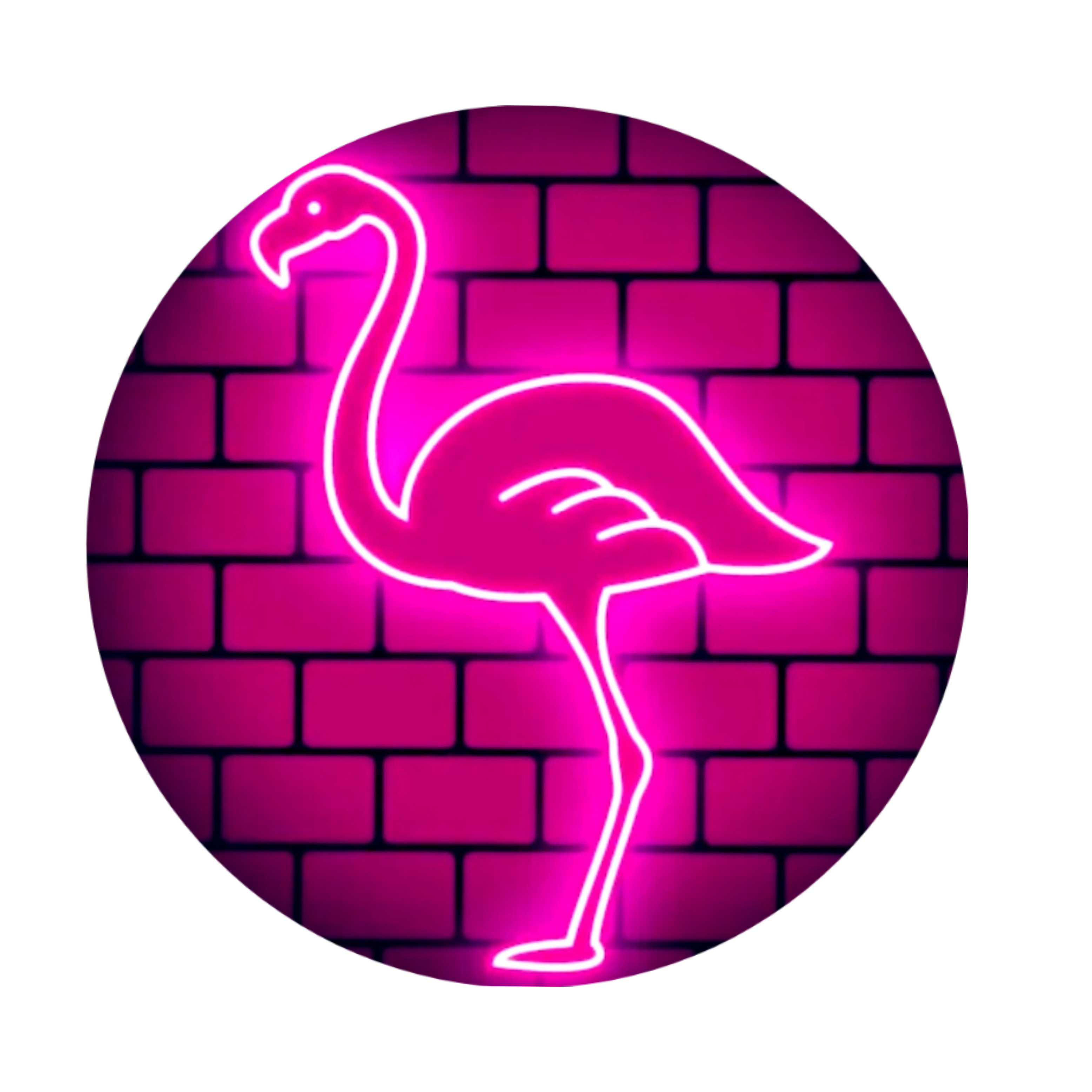 :flamingo_2: